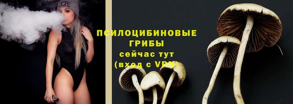 не бодяженный Алексин