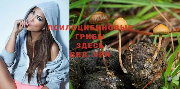 круглые Алзамай